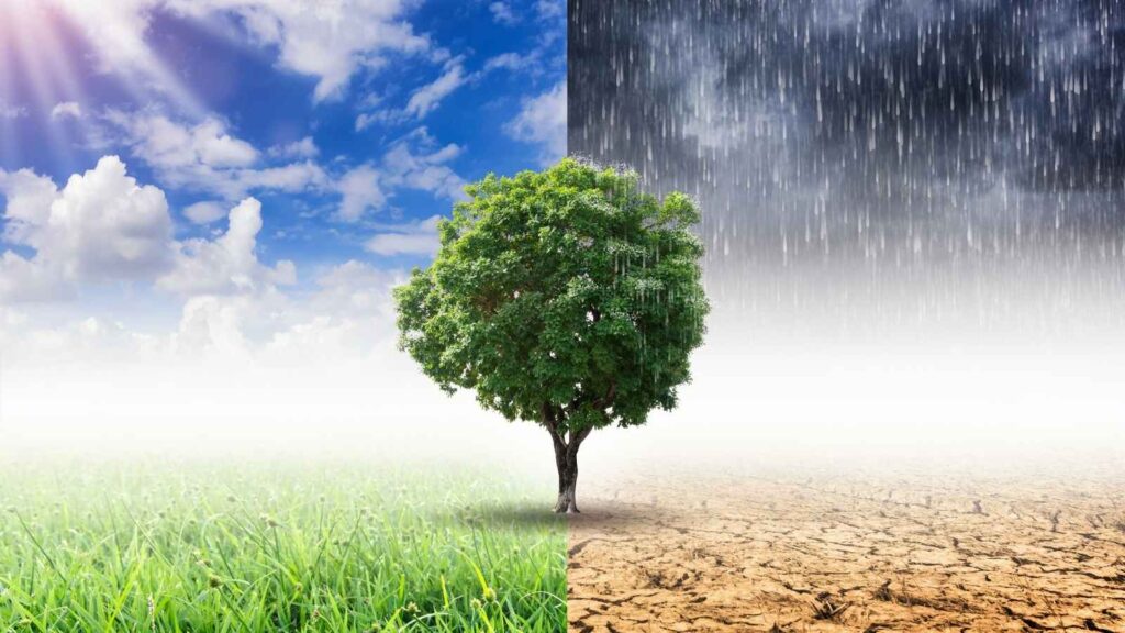 Weather Conditions and Seasonal Changes