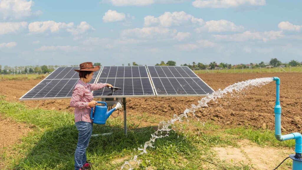 How to Clean and Maintain Solar Panels